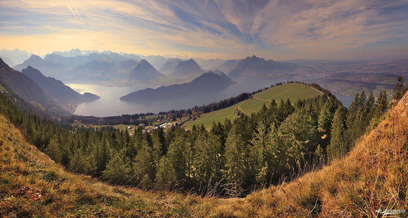 swiss, Матвеев Николай