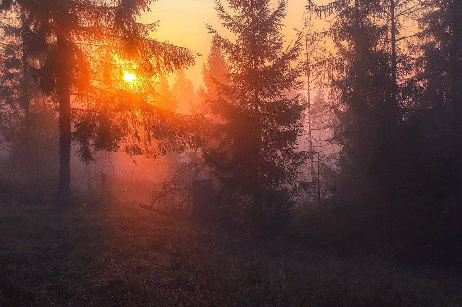 , Вячеслав Мищенко