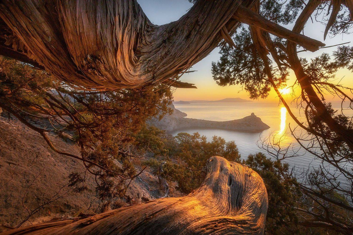 , Александр Костенко