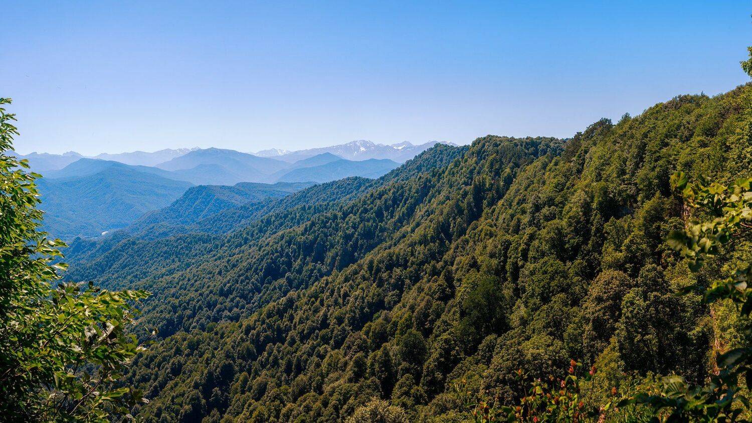 Лаго-Наки, пейзаж, горы, Сергей Сергеев