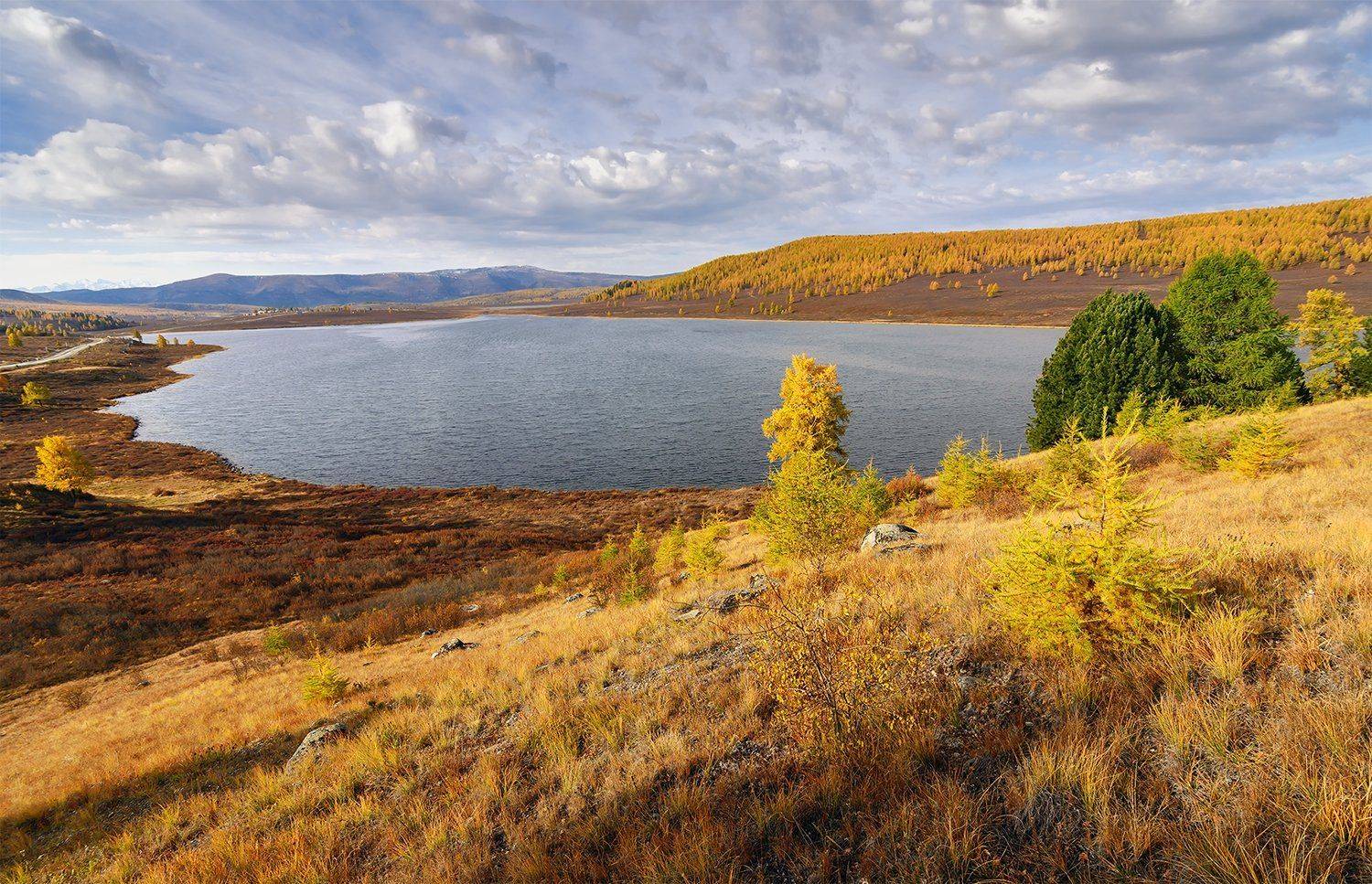 , Дмитрий Д.