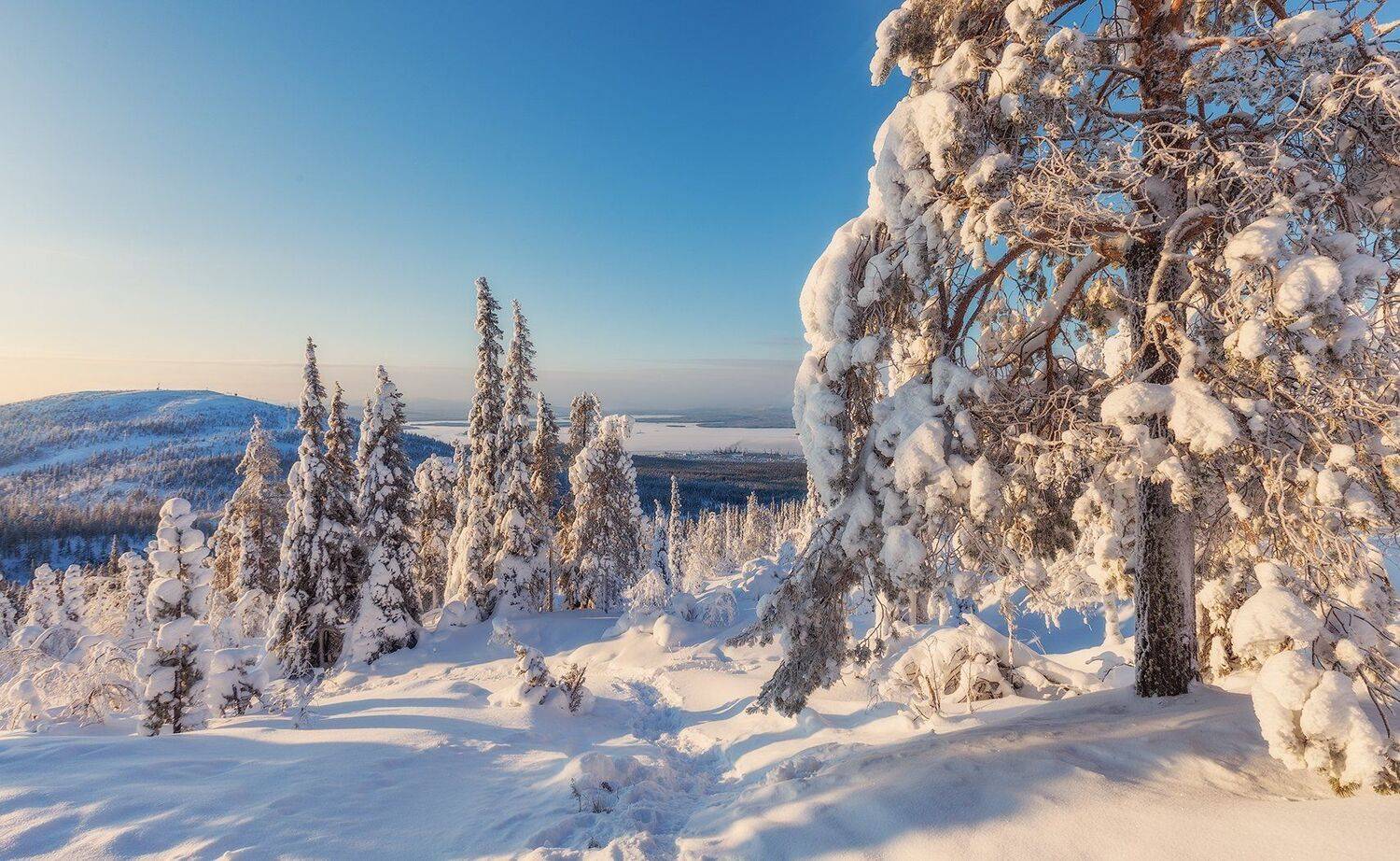 зима, снег, ели, гора, кандалакша, заполярье, волосная, Владимир Липецких