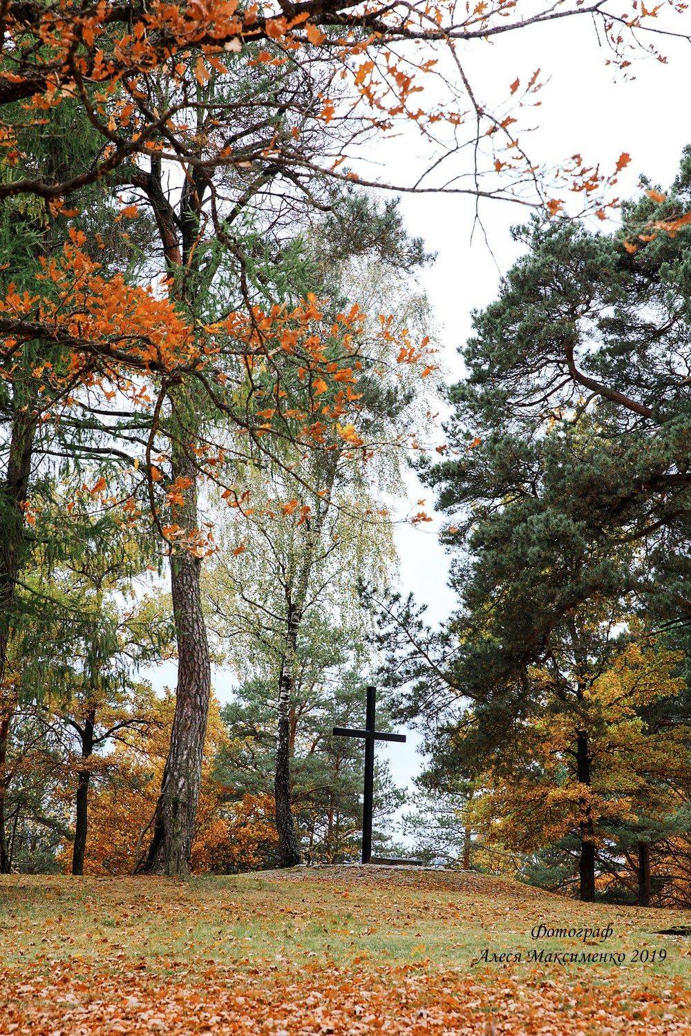 , Алеся Максименко