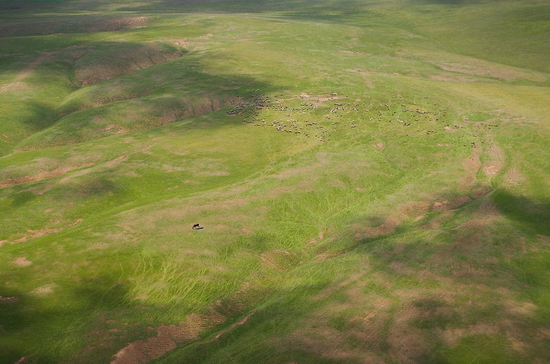 ***** фото превью