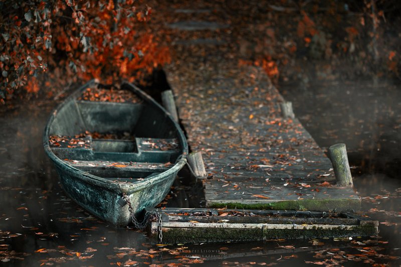red фото превью