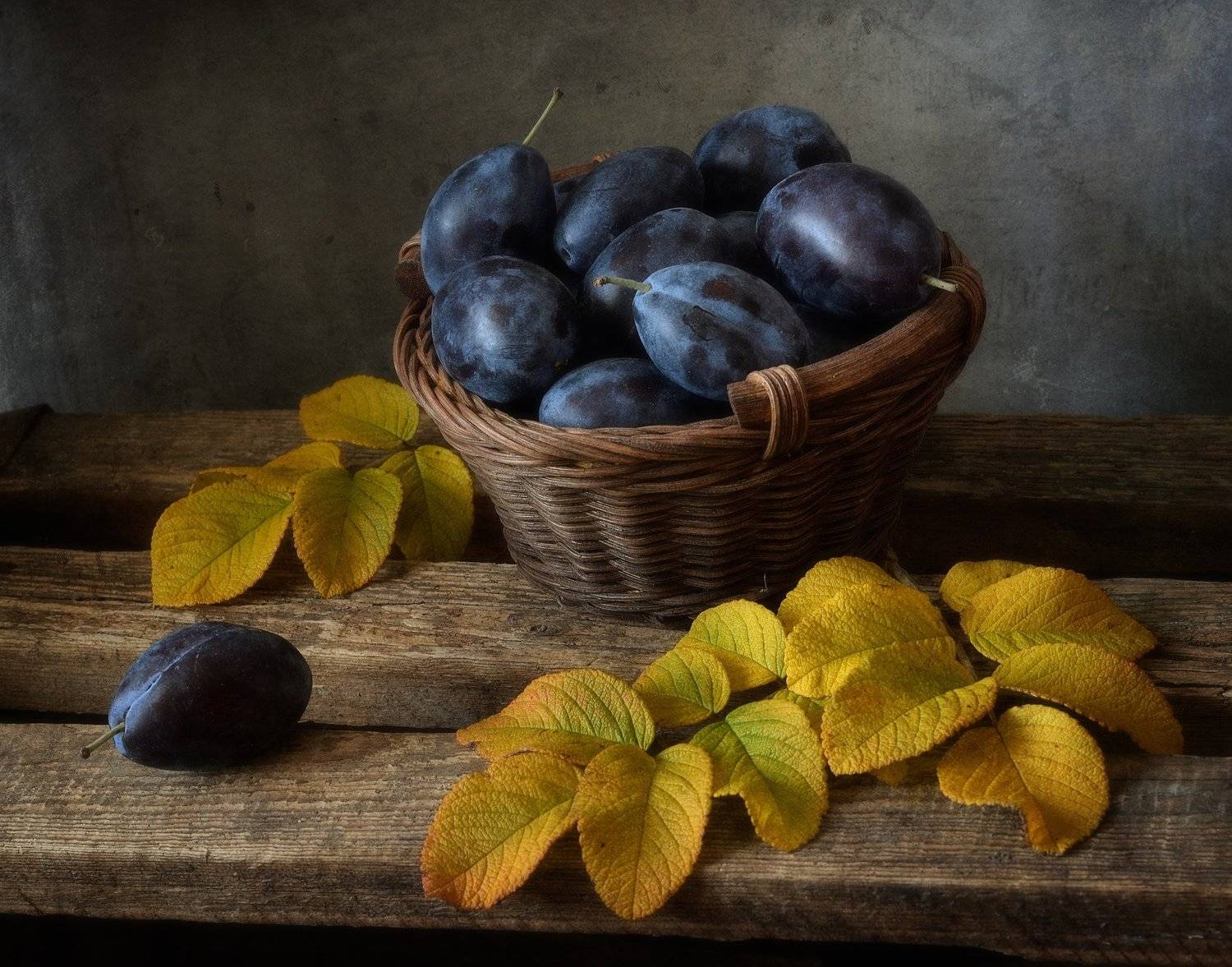 натюрморт,still life,осень,сливы, Наталия К