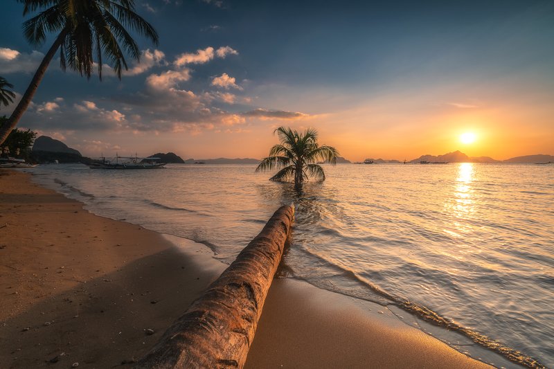 entry photos фото превью