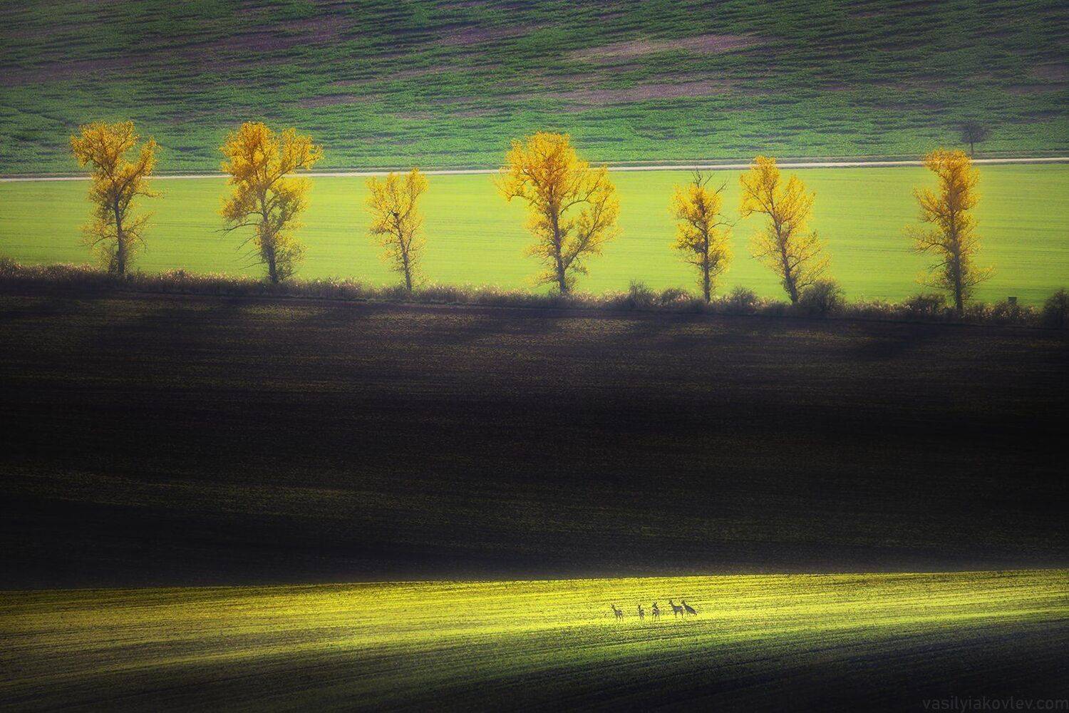 моравия, чехия, осень, Василий Яковлев