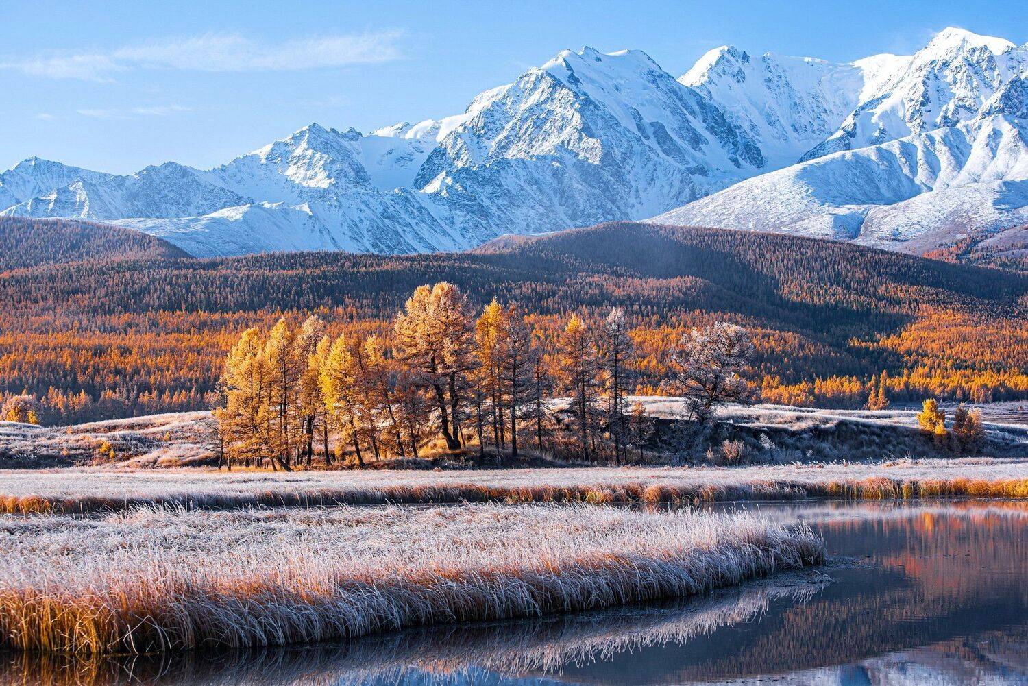 горы. осень. алтай. джангысколь., Евгений Дроботенко