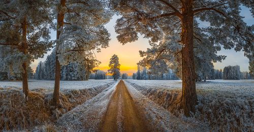 В прекрасное далёкое…