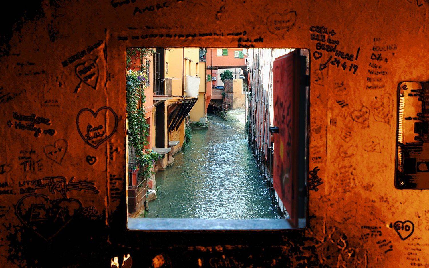 креатив, концепция, окно, болонья, италия, creative, concept, window, bologna, italy, Дмитрий Салтыков