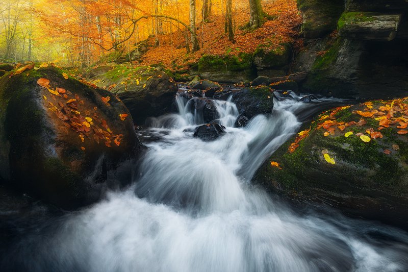 Crossing the Narog фото превью