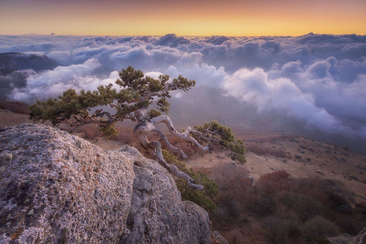 , Александр Костенко