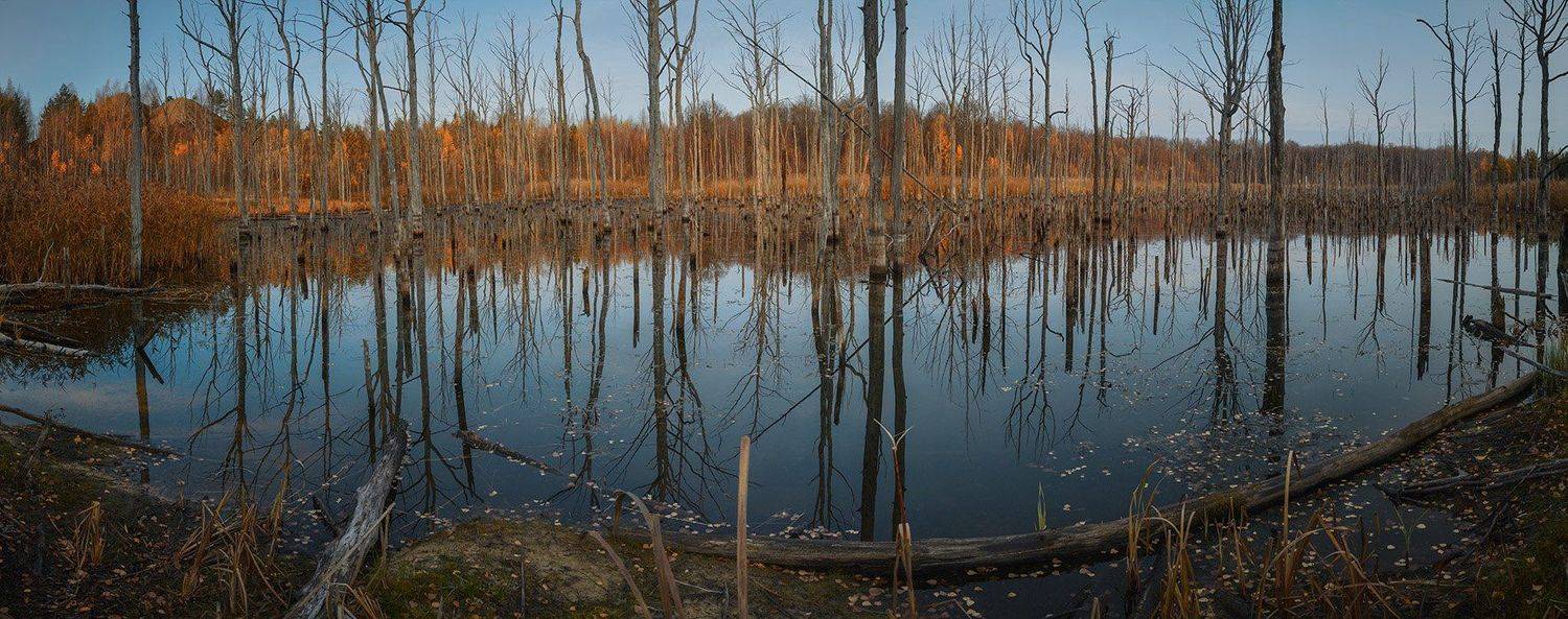 , Анатолий Зверев