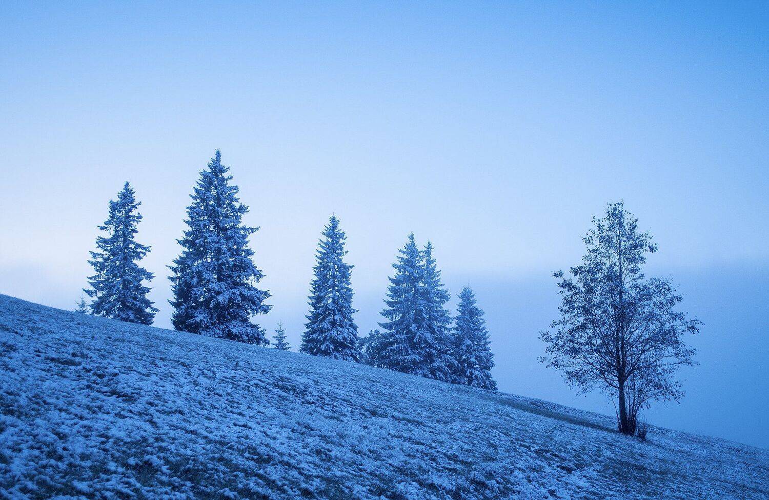 , Вадим Скапенко