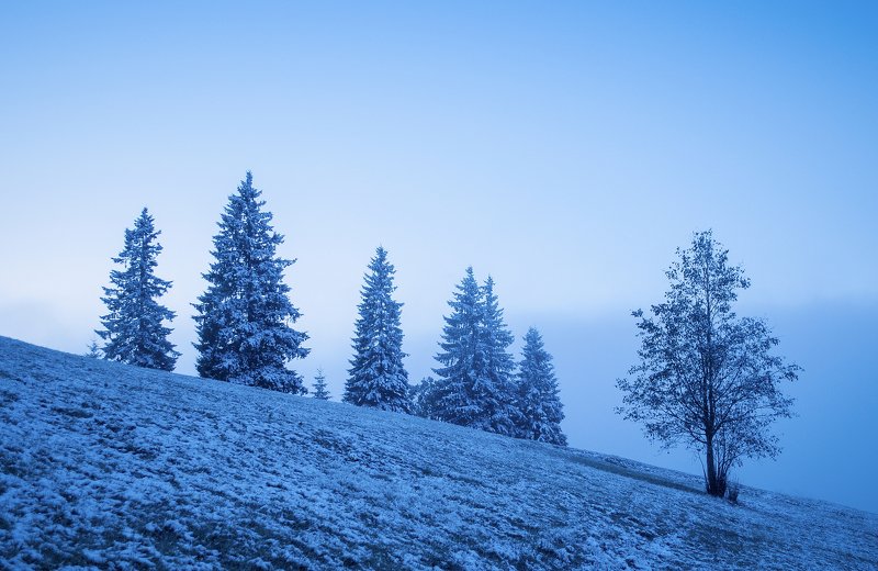 Утренняя туманно-снежная фото превью