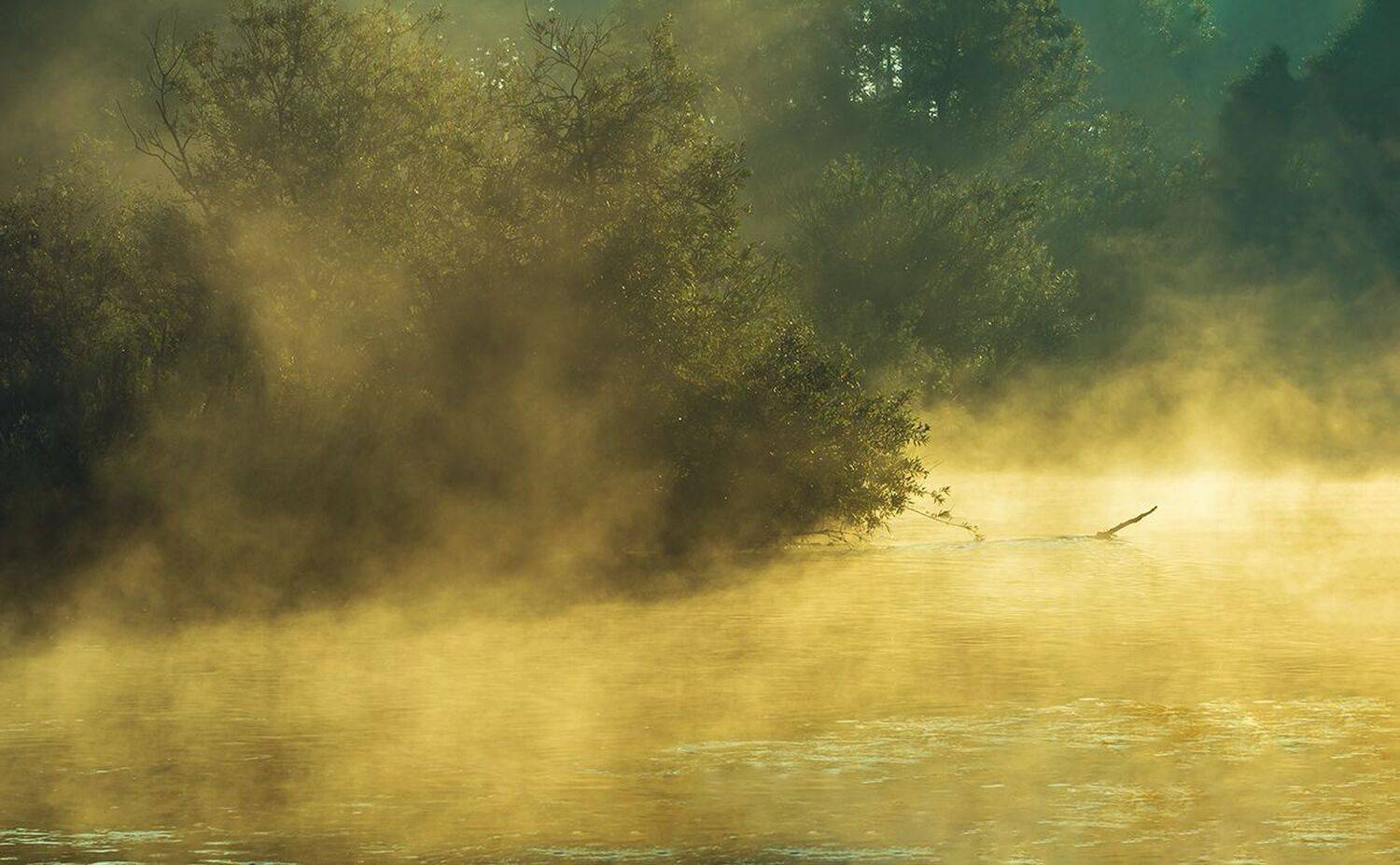 , Sławek Przybylski