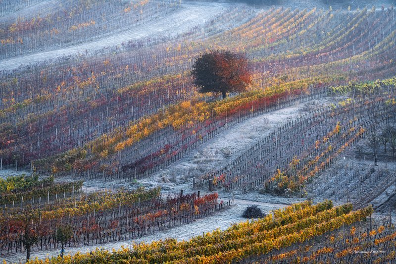 Дыхание зимы... фото превью