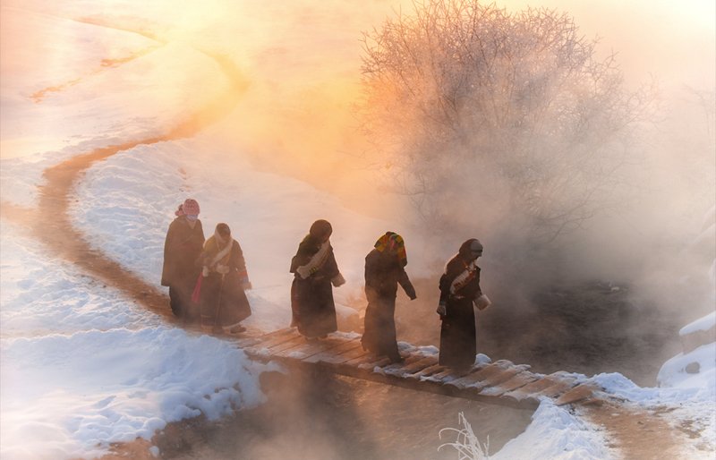 Misty 雾中行 фото превью