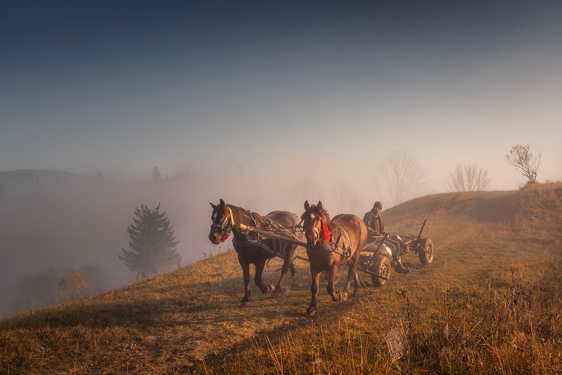 Карпатские будни. фото превью