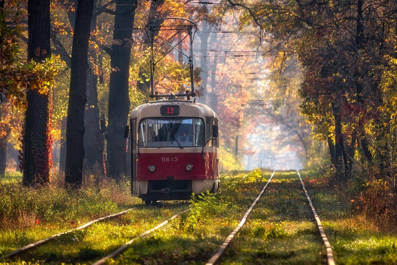 , Юрий Юрьев