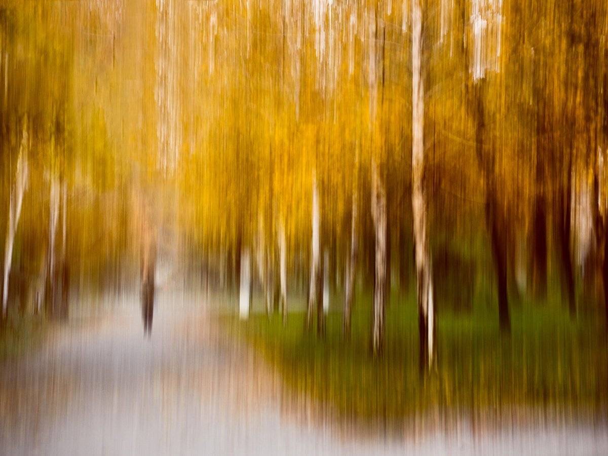 , Татьяна Аверина