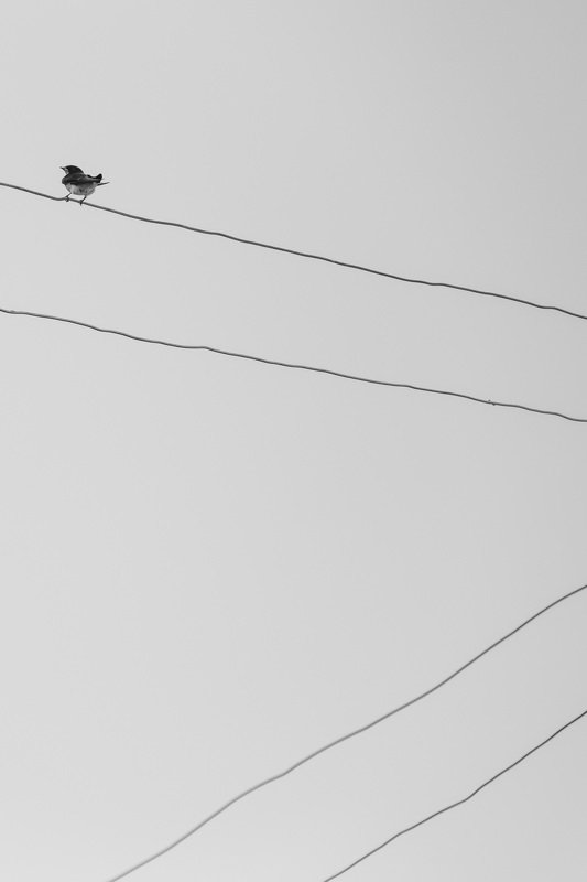 mohib ali photography Loneliness фото превью