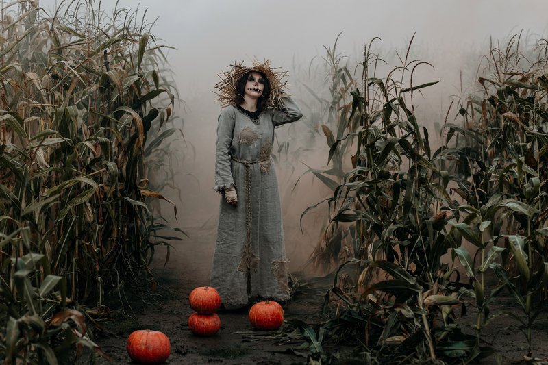 halloween The Scarecrow фото превью