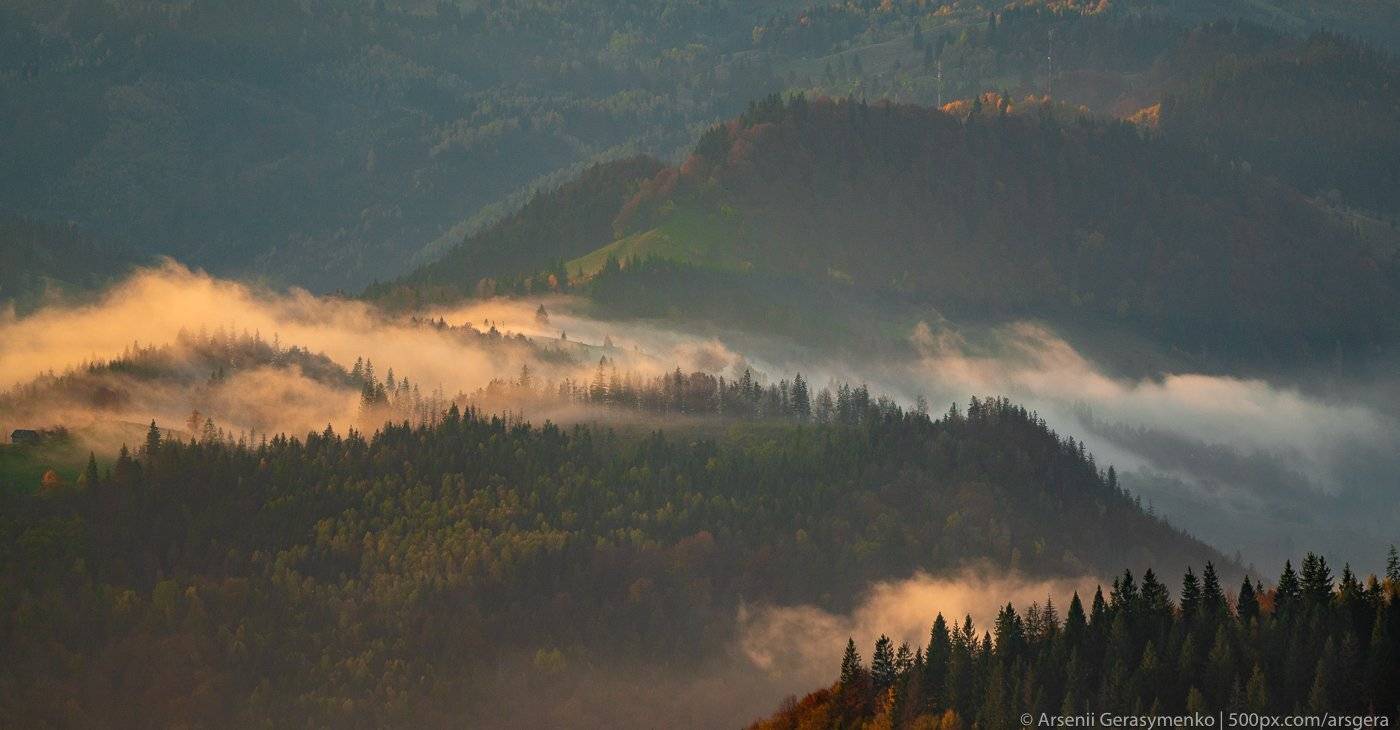 alpine, autumn, beautiful, carpathian, cloud, countryside, dawn, environment, fall, fog, foggy, foliage, forest, green, hiking, hill, landscape, light, meadow, mist, misty, moody, morning, mountain, mountain trees, mysterious, nature, outdoor, park, peak,, Арсений Герасименко