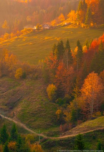 Autumn foliage trees in the mountains. Meadow with haystack and forest in the Carpathian mountains