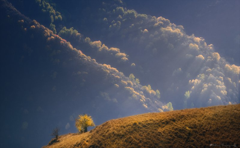 В сердце осени. фото превью