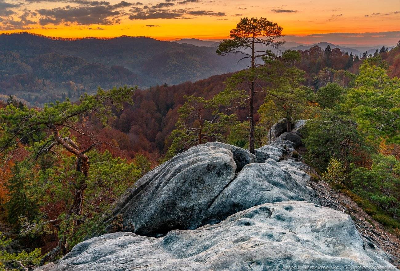 alpine, autumn, background, beautiful, cloud, dark, dawn, environment, fall, fog, foggy, forest, green, hiking, hill, landscape, light, mist, misty, moody, morning, mountain, mountain trees, mountains, mysterious, natural, nature, outdoor, park, peak, pin, Арсений Герасименко