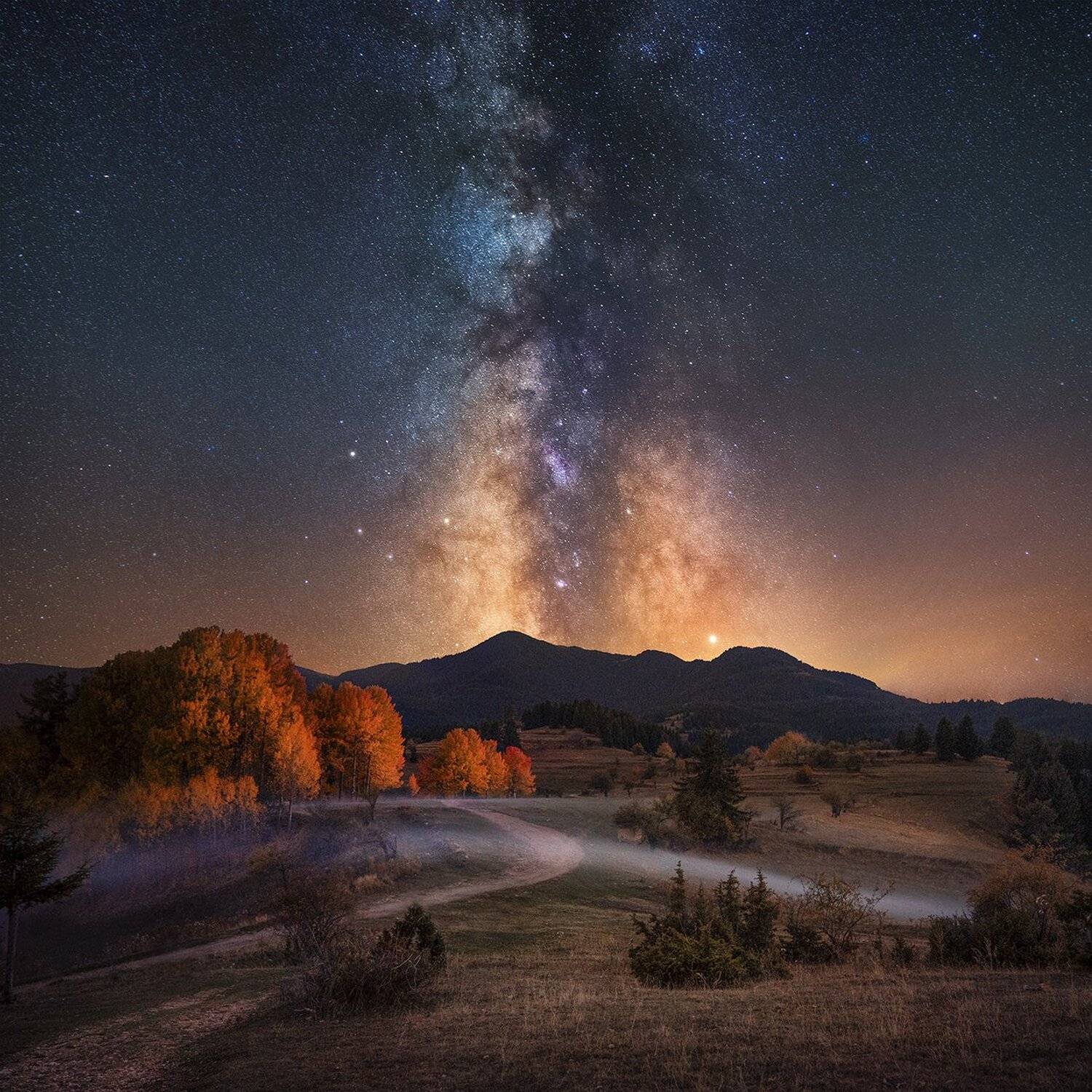 , Михаил Минков