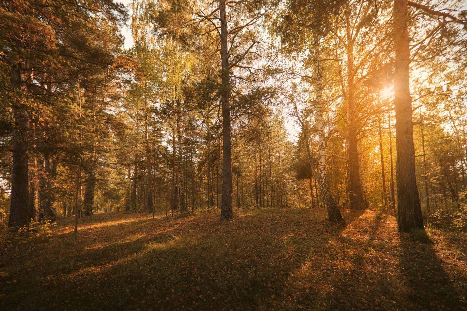 озеро, горы, лес, природа, закат, рассвет, красота, приключения, путешествие, Шевченко Николай