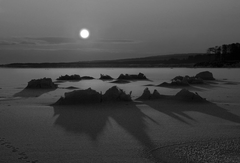 зима, пейзаж, ч/б Ведьмино кольцо фото превью