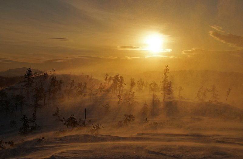 зима, пейзаж Метель фото превью