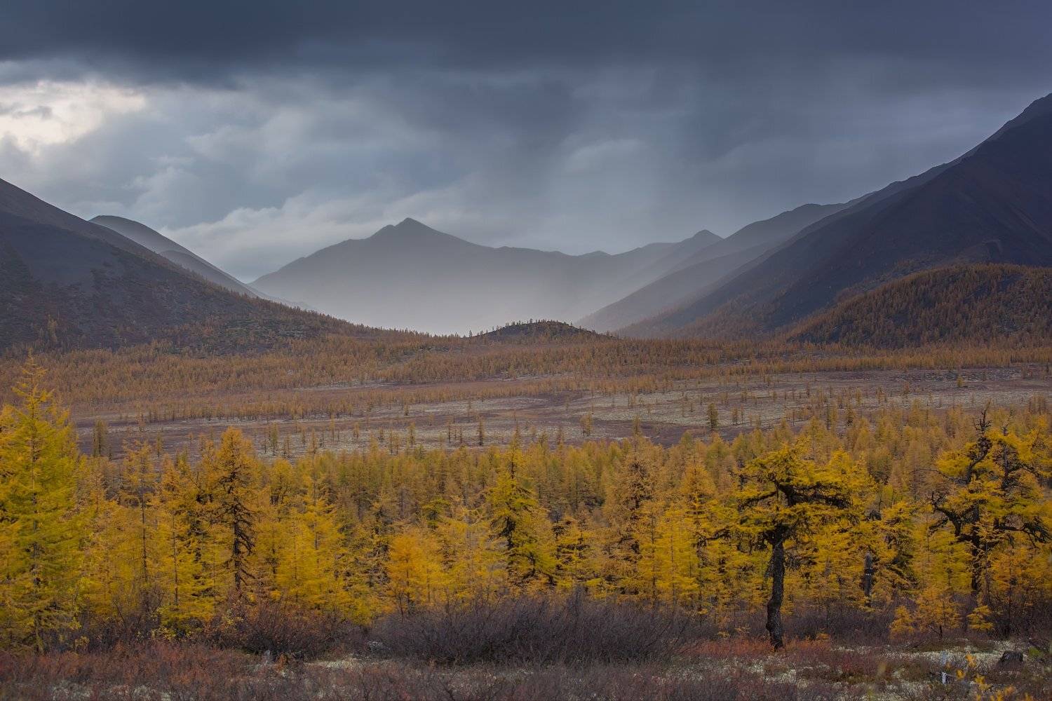 , Павел Глушков