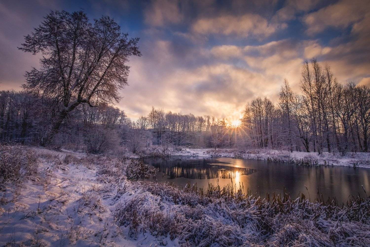 , Евгений Луцко