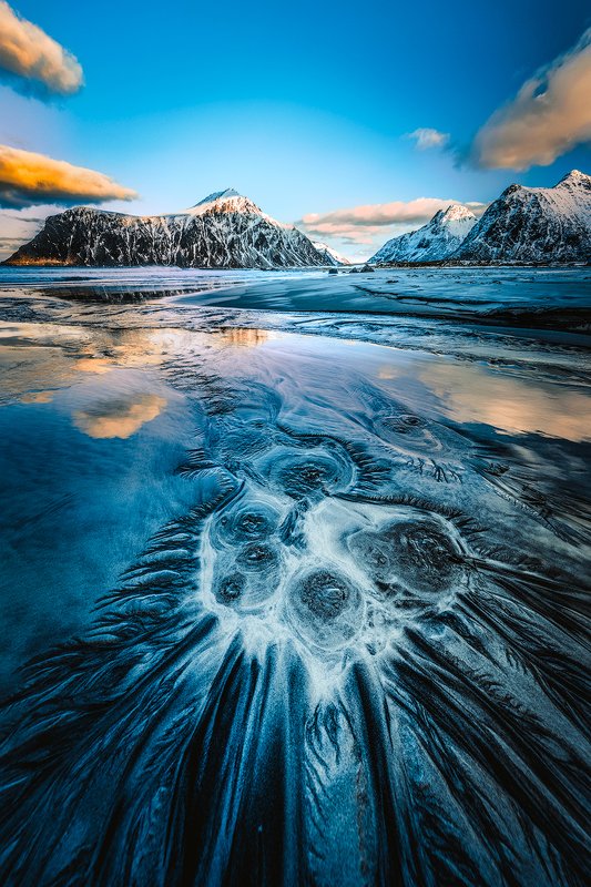 The North || Север фото превью