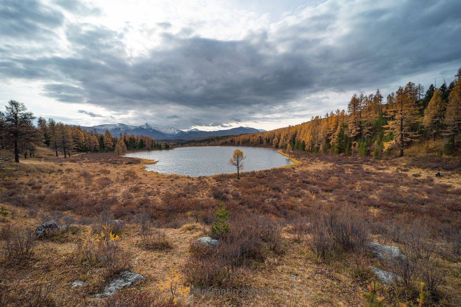 , Константин Дэм