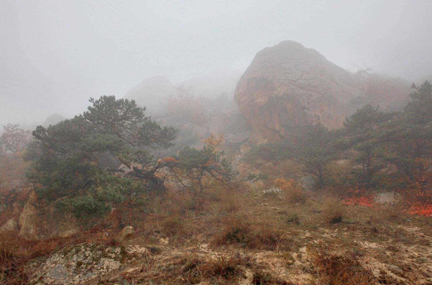 осень,пейзаж,горы,лес,природа,дагестан., Marat Magov