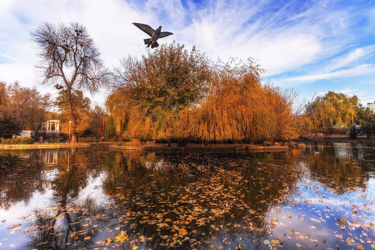 , Павел Сагайдак
