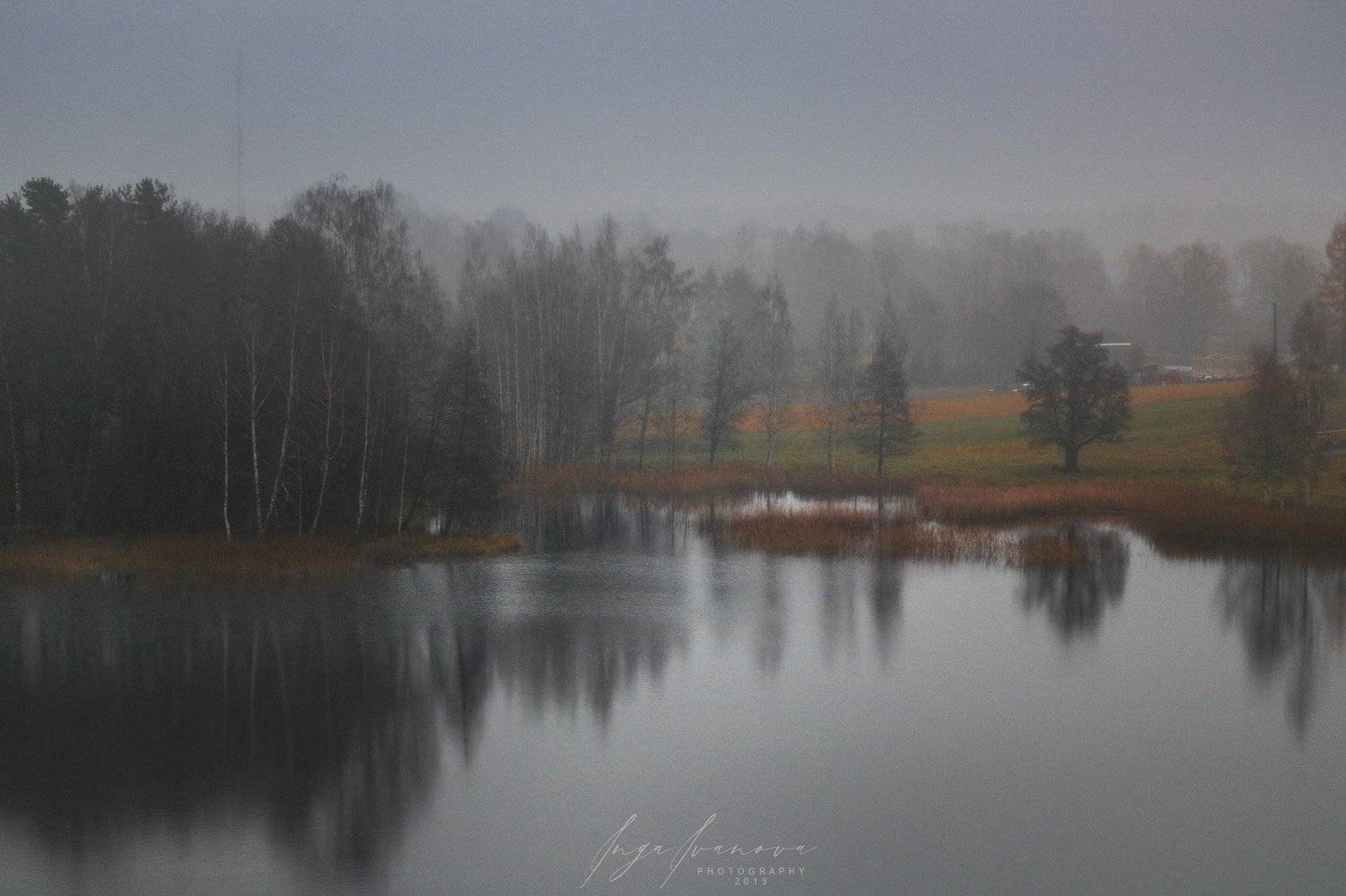 серый дождь, Инга Иванова