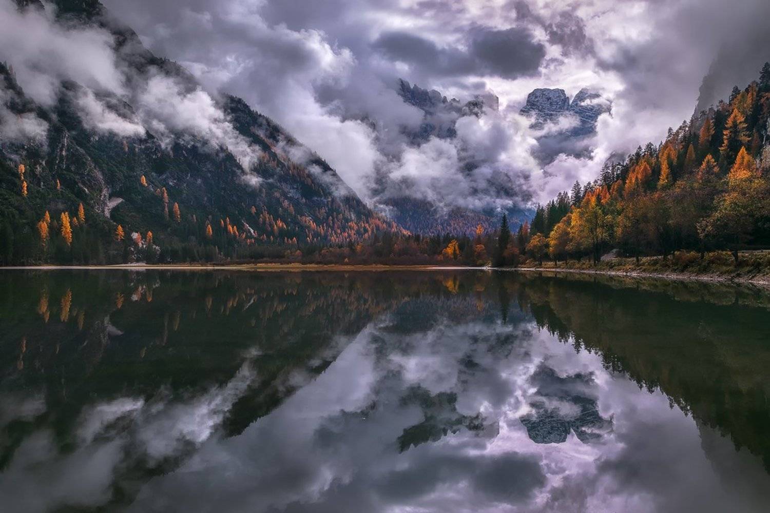 , Kani (kanipolat.com) Polat