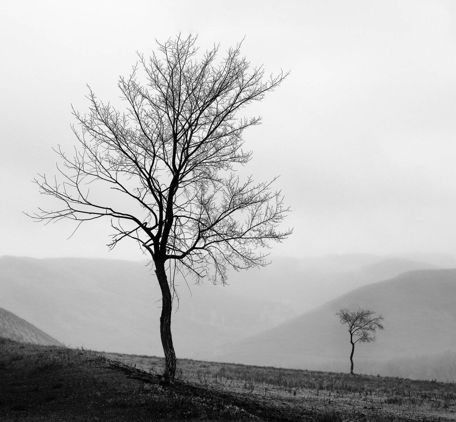 , Yevgeny Anatolyevich