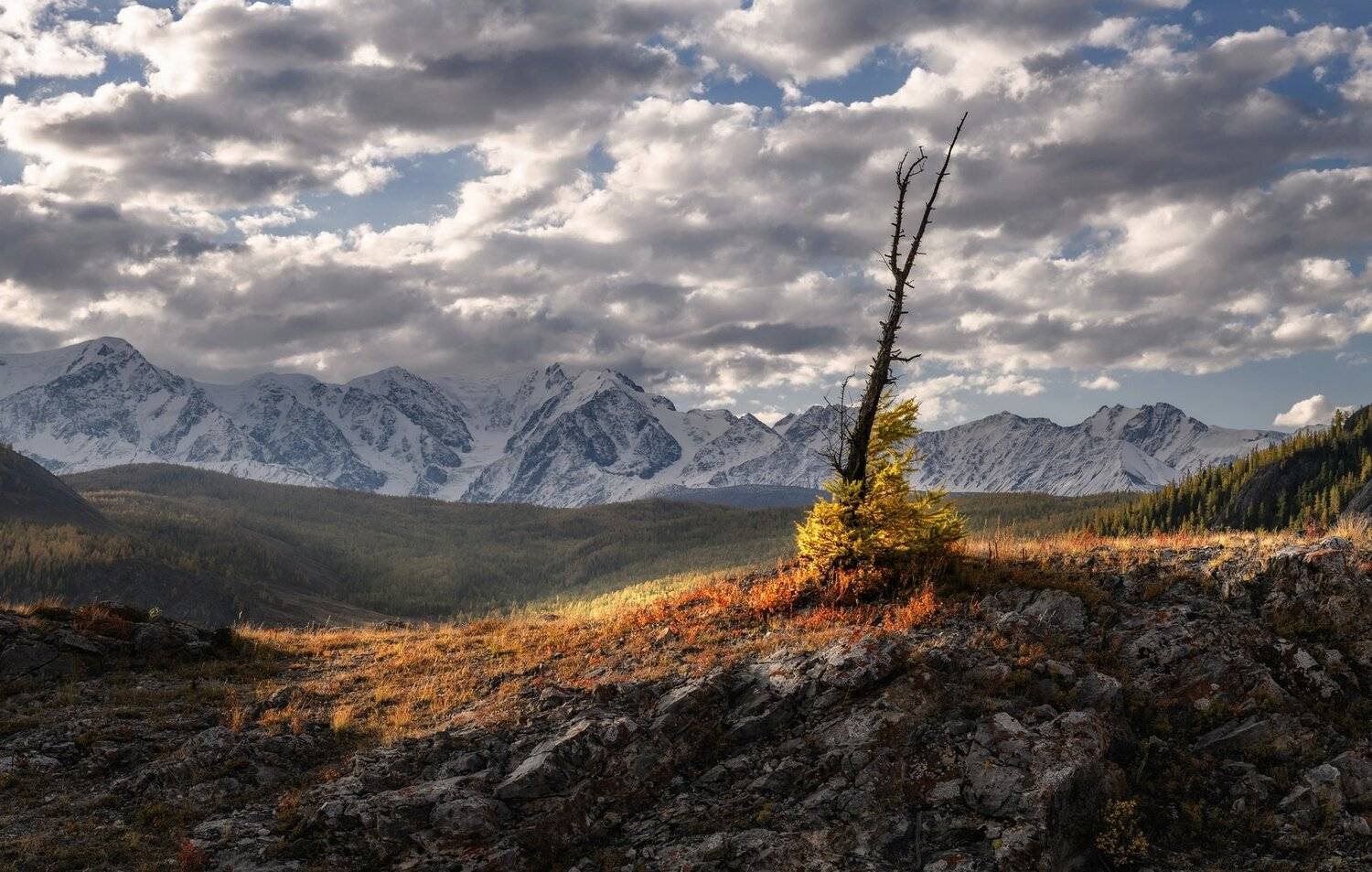 алтай, северо-чуйский хребет, вечер, осень., Марина Фомина