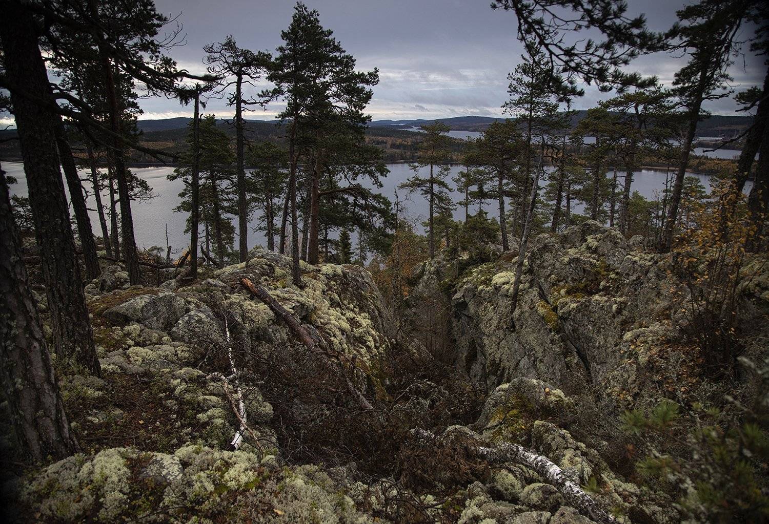 швеция,  Lapland