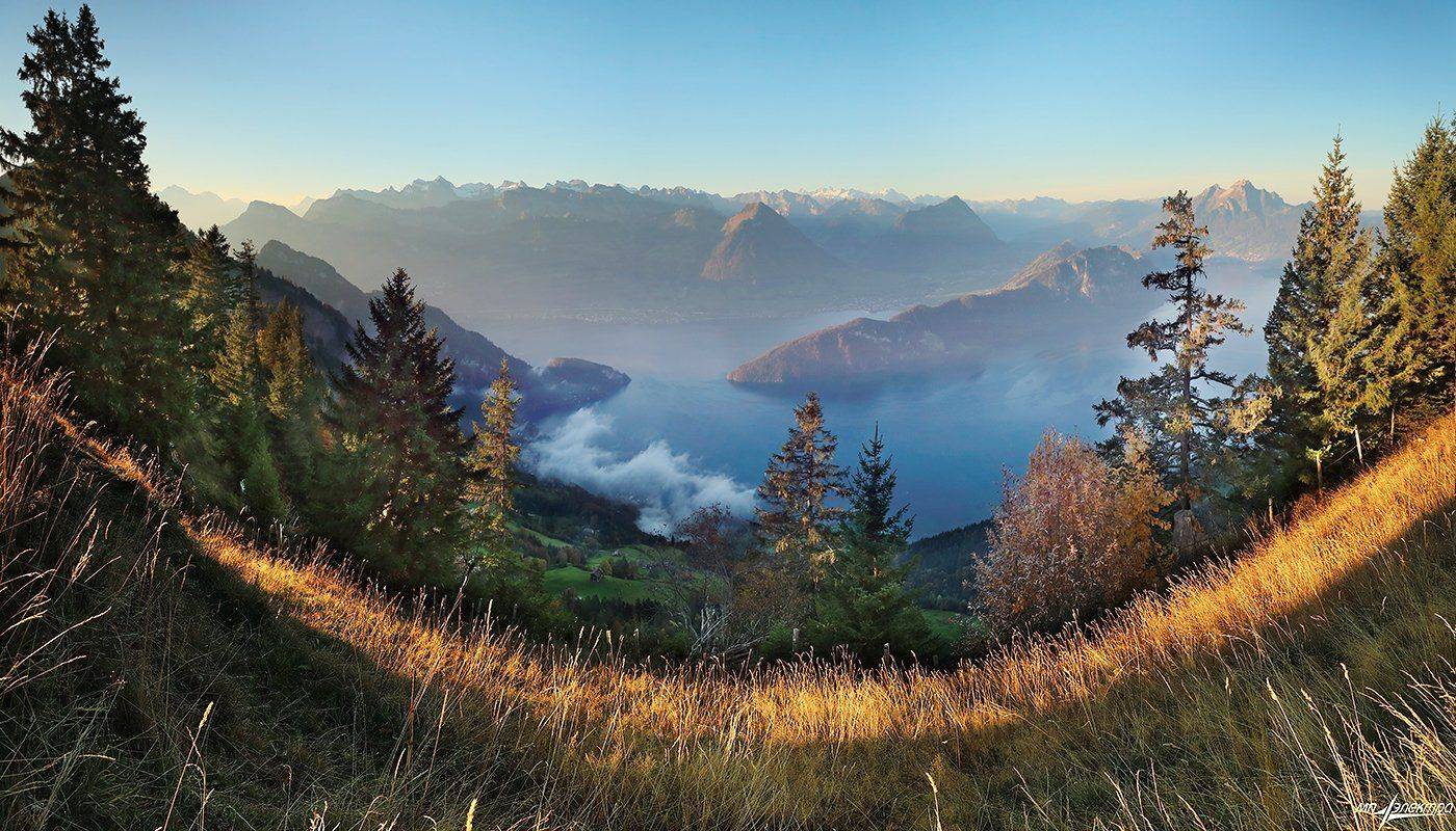 swiss, Матвеев Николай