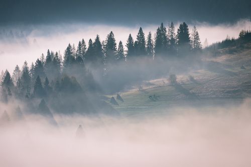Карпаты