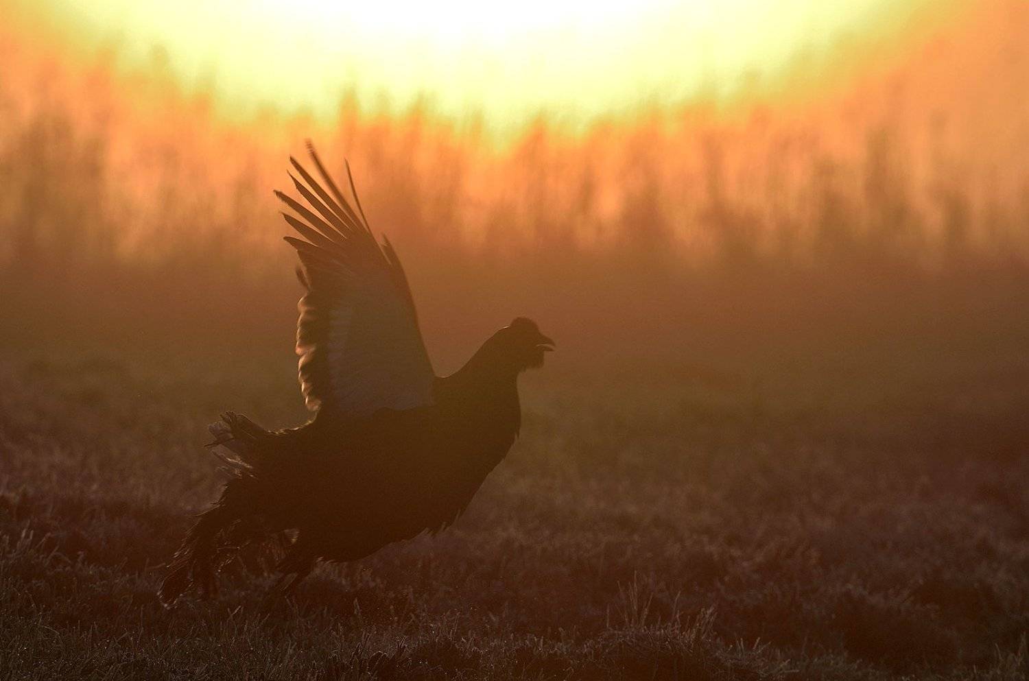 , Сергей Урядников